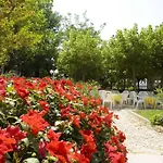 Fulgida קאטוליקה